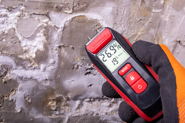 Best Residential Mold Removal  in Von Ormy, TX